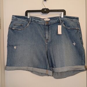 NWT Lane Bryant Boyfriend Midi Short Mid Rise